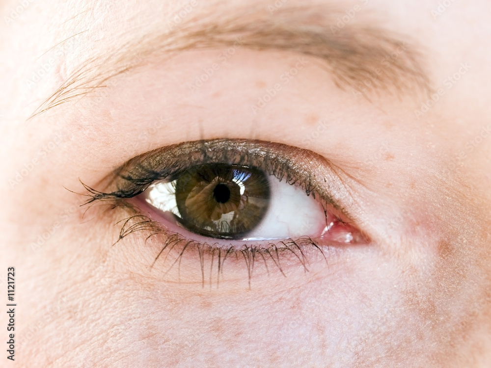 Obraz premium macro - human eye