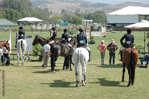 show horses waiting