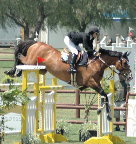 horse jumping a barrier