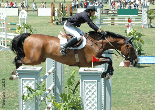 horse & rider jumping a barrier