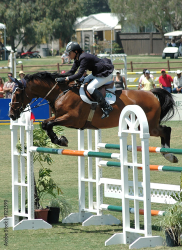 horse & rider jumping a barrier