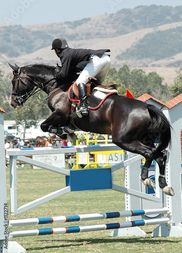 horse jumping a high gate