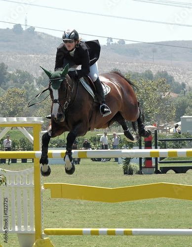 horse jumping a gate