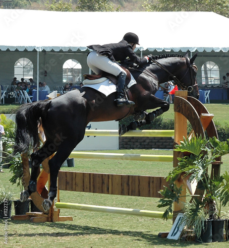 horse jumping an obstacle