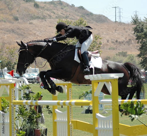 horse jumping a gate