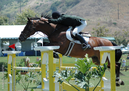 horse jumping an obstacle