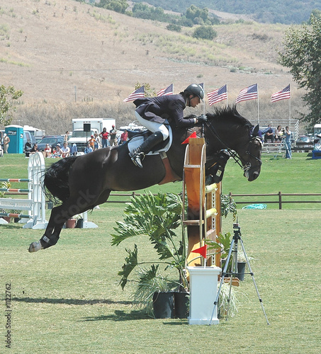 jumping horse & rider