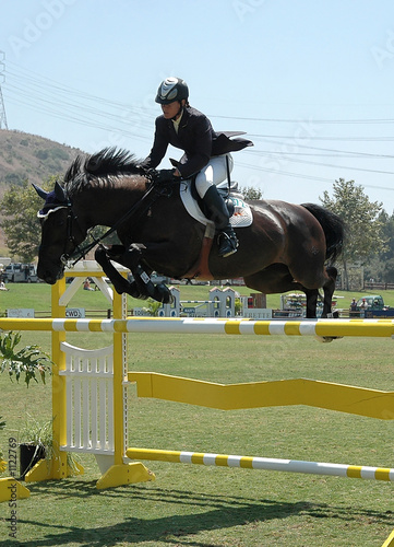 jumping horse & rider