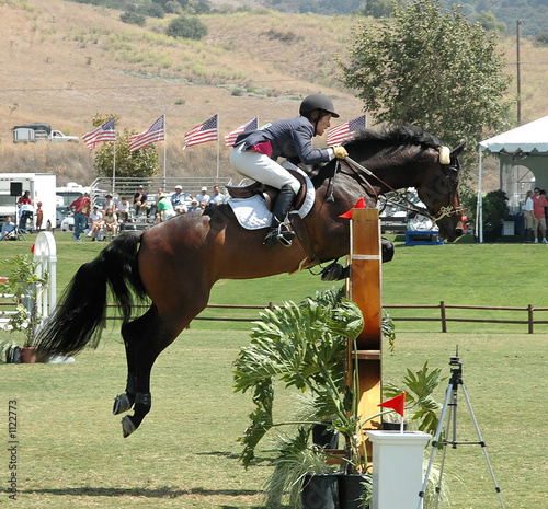 rider & horse jumping