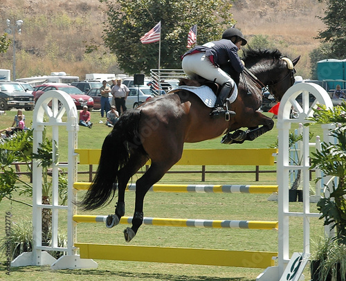 rider & horse jumping