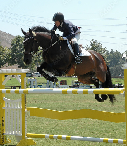 rider & horse jumping