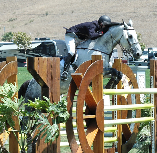 horse & rider jumping a barrier