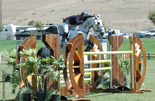 horse & rider jumping a barrier