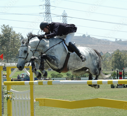 horse & rider jumping a barrier