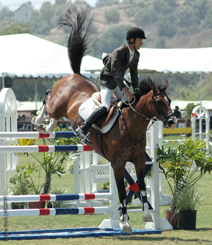 horse jumping a gate
