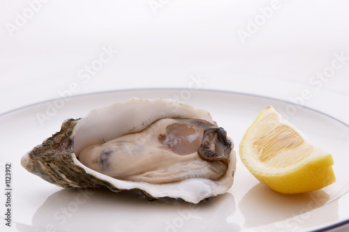 oyster and lemon