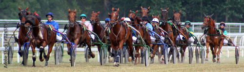 course de chevaux photo