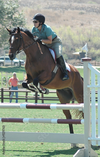 horse & rider jumping a barrier