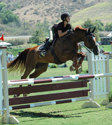 show horse jumping a barrier