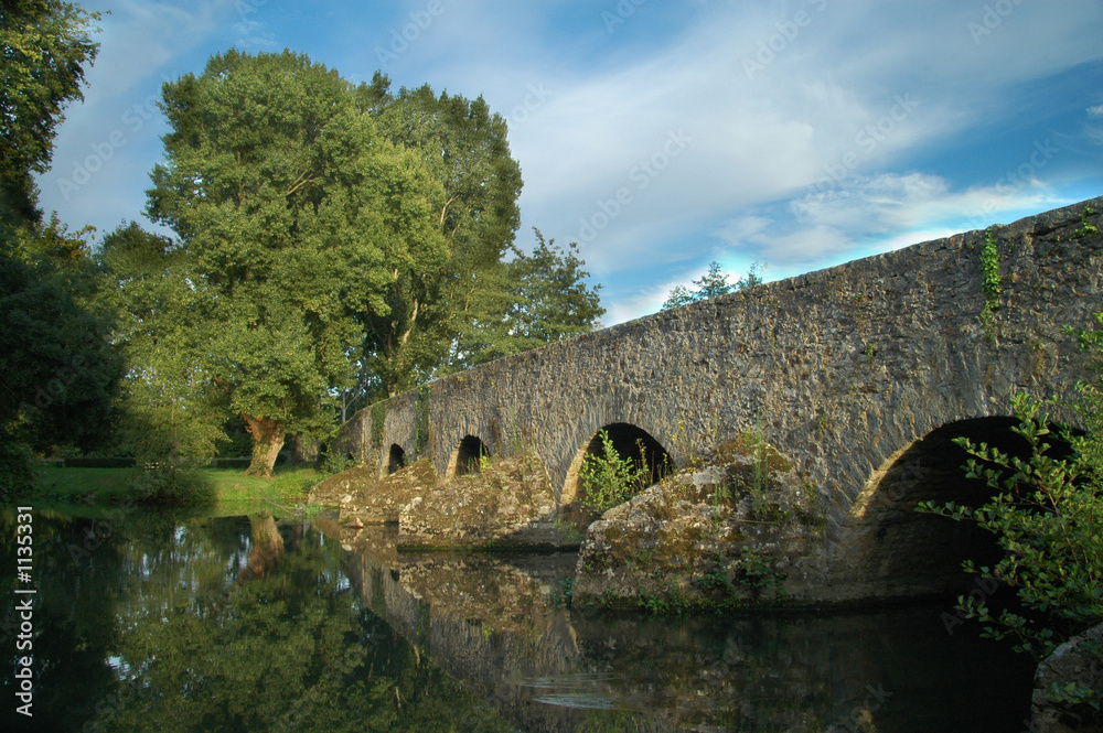 Fototapeta premium pont roman