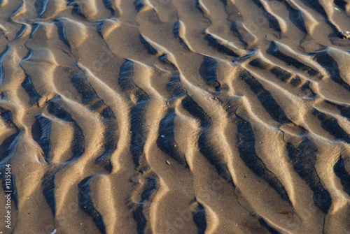 fische