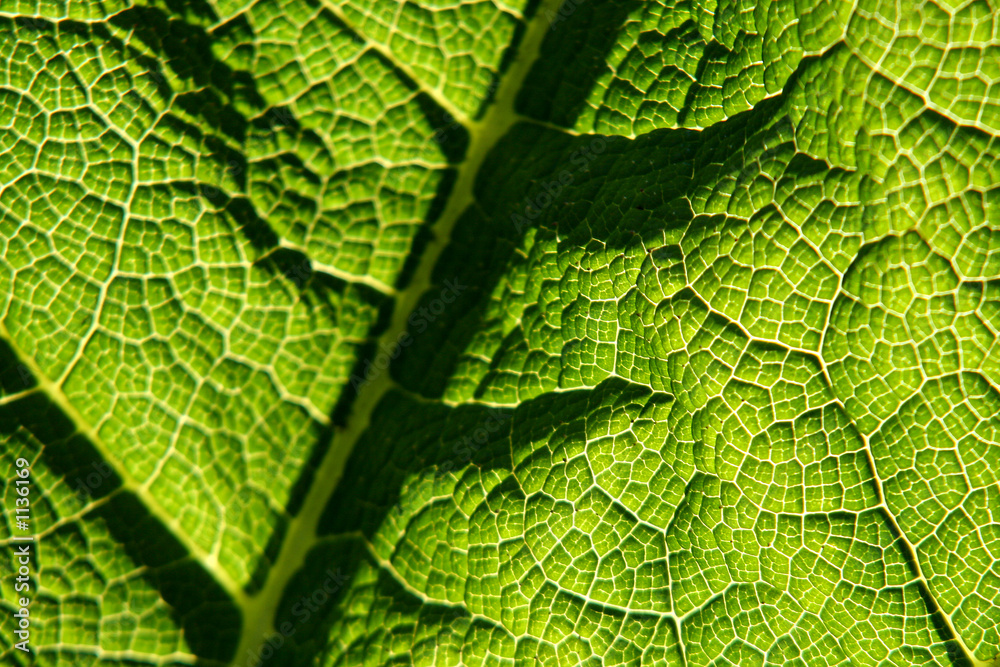 feuille04 feuille04