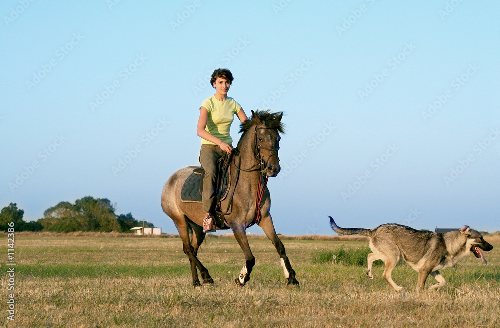 Naklejka premium teen rider