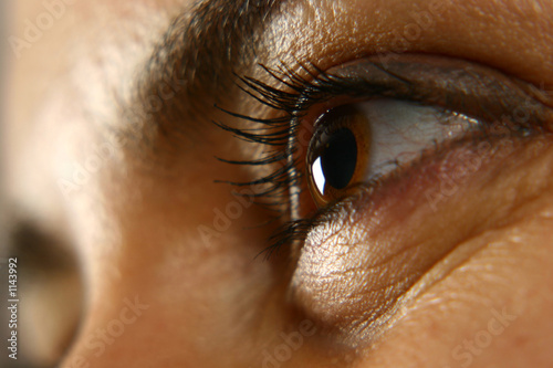 das auge