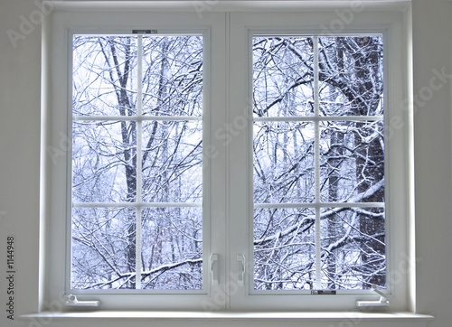 winter window #1144948