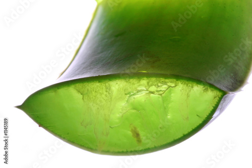 aloes vera