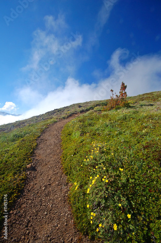 trail in the mountains photo