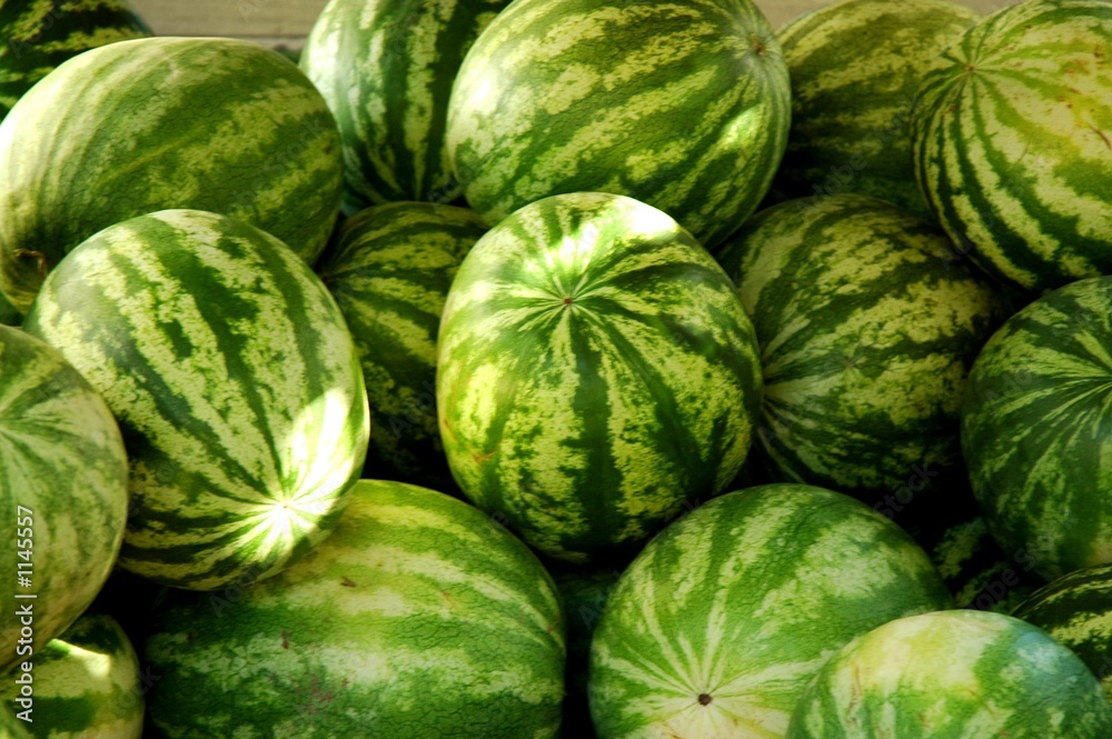 watermelon watermelon