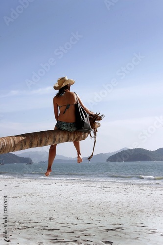 need a vacation?