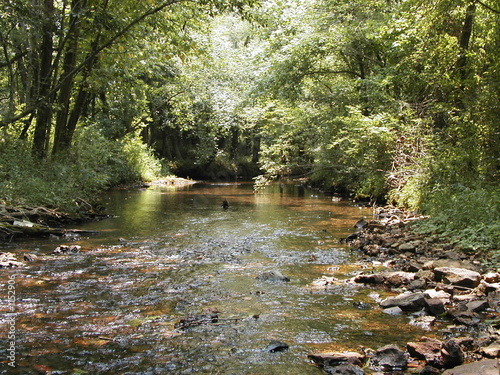 mars hill creek