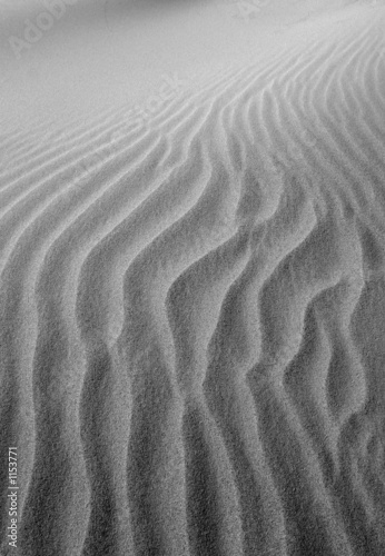 dunes in black&white