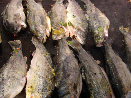 fresh fish on barbecue photo