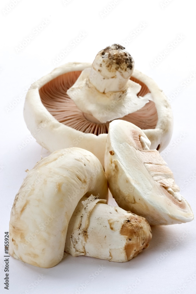 mushrooms champignons