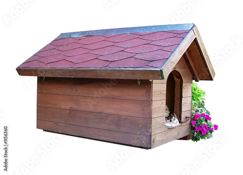 hundehütte mit blumen