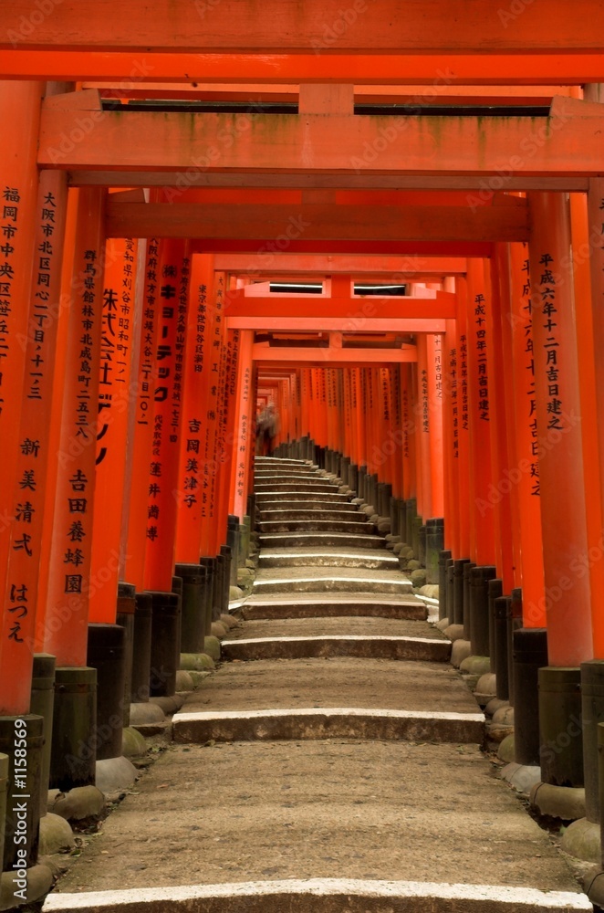 Naklejka premium torii gates of fushimi inari shrine, kyoto, japan