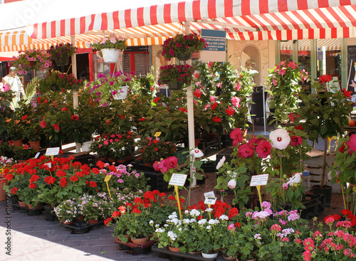 flower market