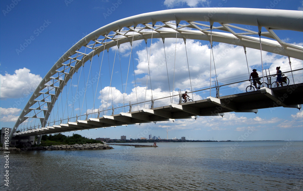 Naklejka premium cyclists in silhouette