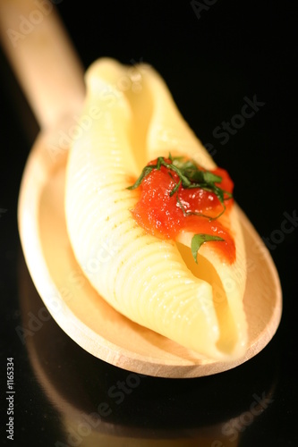 conchiglie