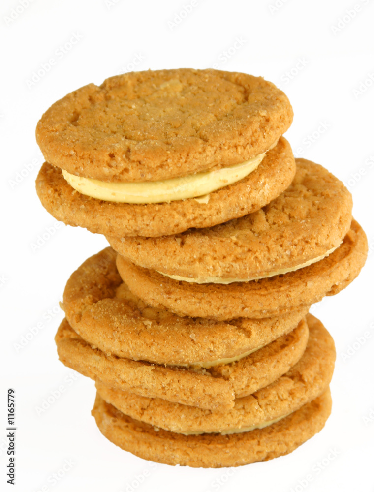 biscuit snack biscuit snack