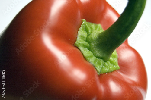 red pepper