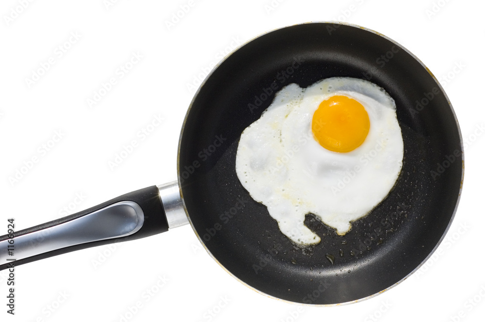 fryed egg fryed egg
