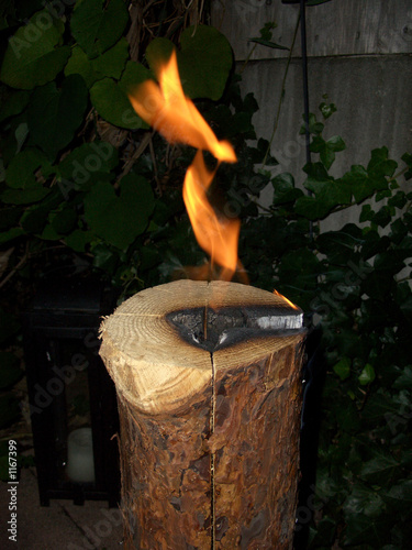 baumfackel - michael gerlach