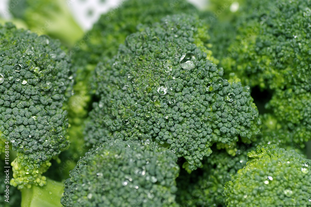 broccoli closeup