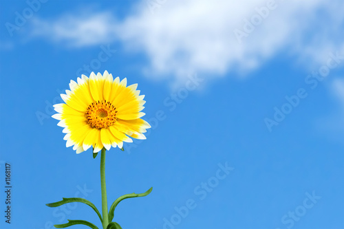 a beautiful day
