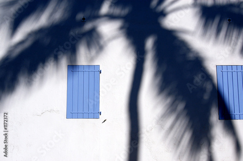 Quadro em tela facade tropicale