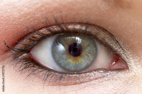 eye